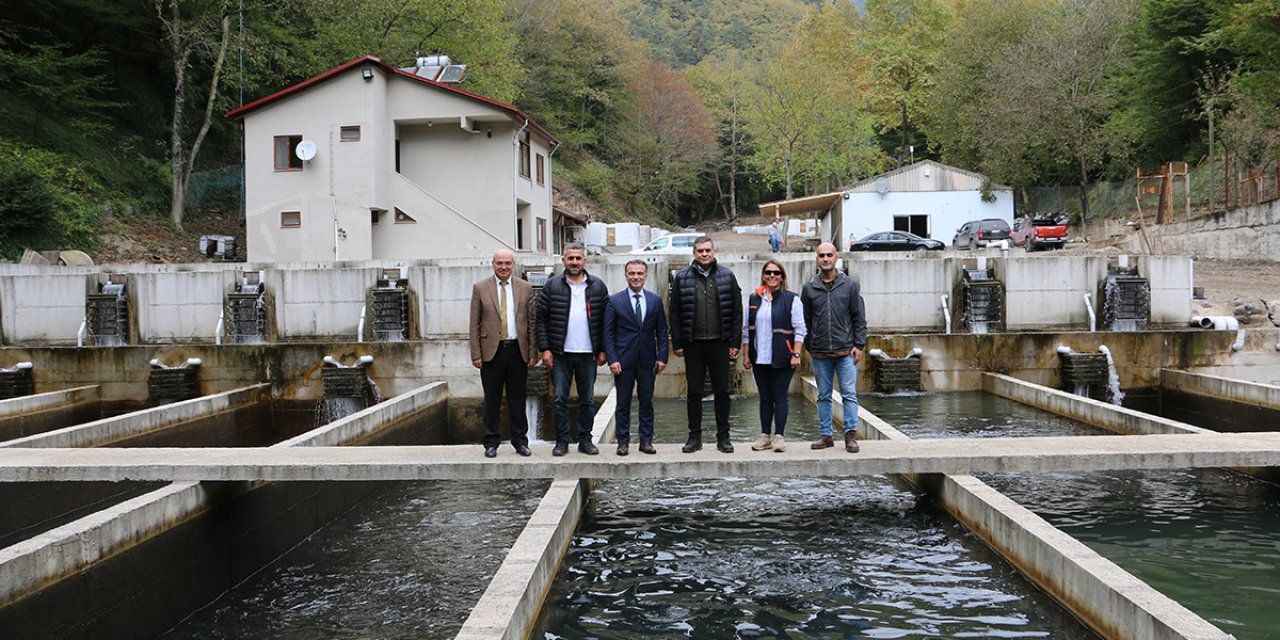 Bolu'da 36 Tesis, Yıllık 325 Ton Alabalık Üretiyor